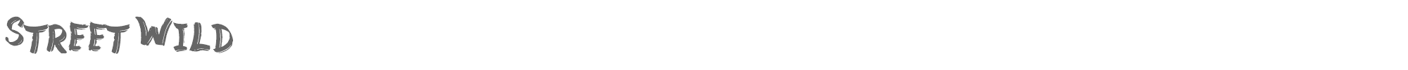 Sample characters Street Wild Font